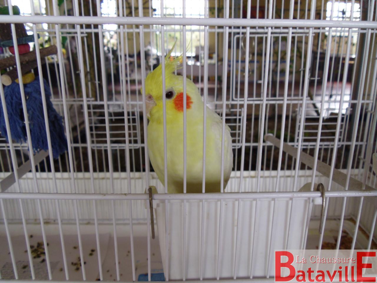 SAM_2752